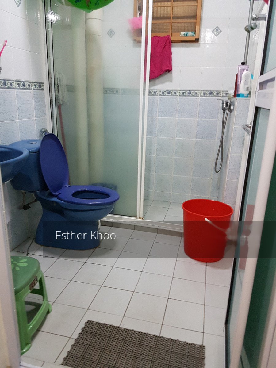 Blk 317C Anchorvale Road (Sengkang), HDB 4 Rooms #184874812